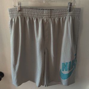 Nike Dri-Fit SB Collection Shorts